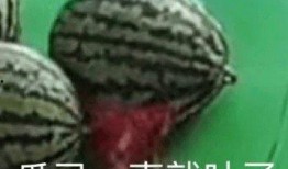 吃瓜头像免费