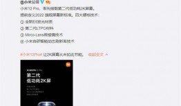 卢伟冰爆料完整版视频,行业内幕与未来趋势深度解析