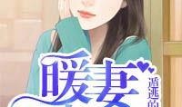 妻中秘在线观看,揭秘婚姻背后的秘密，在线观看情感大剧