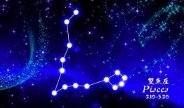 双鱼座最新爆料,揭秘星座背后的神秘力量