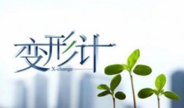 爆料小故事长篇大全视频,长篇大全视频背后的精彩瞬间